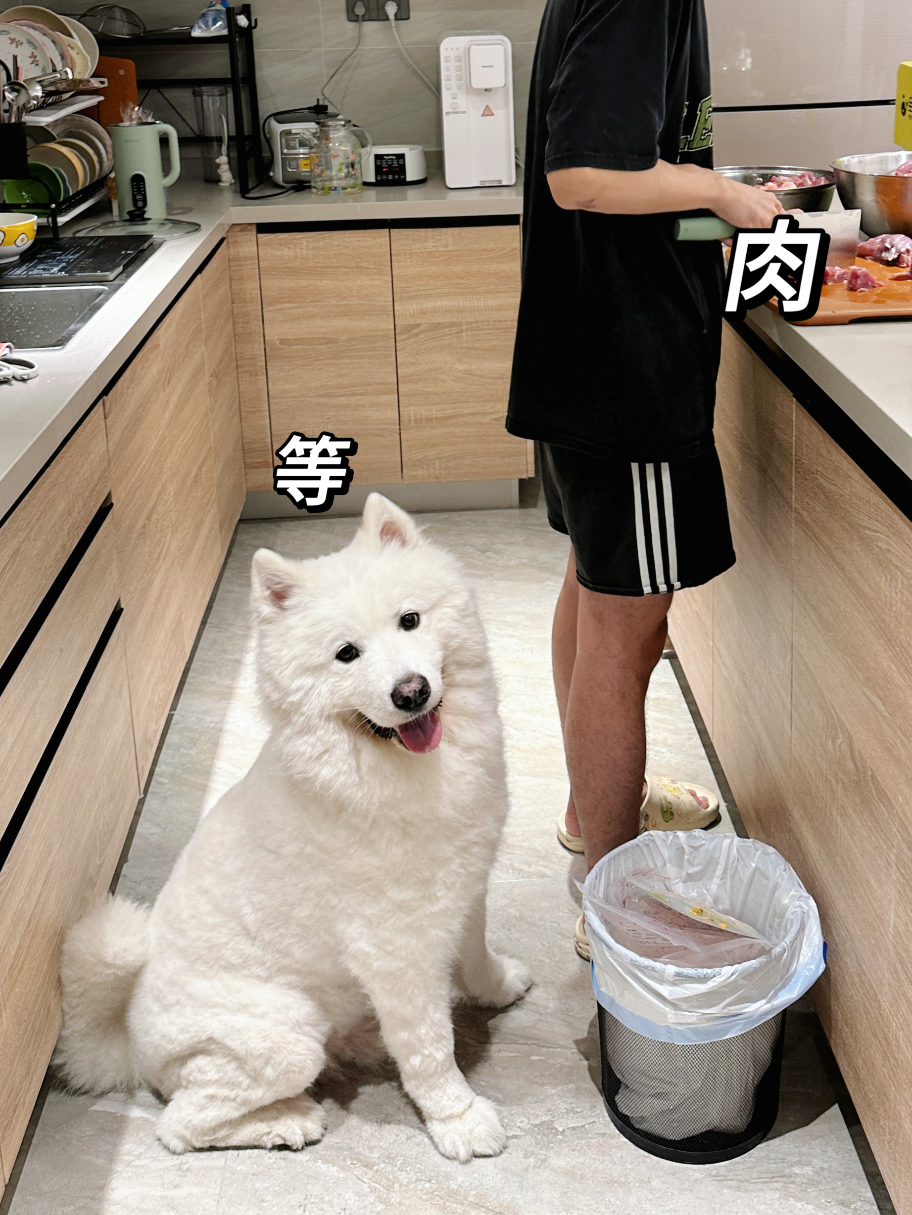 今天你吃了吗✌🏻 ​​​