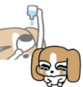 哈哈， 到底从哪里变出来一万个los在这跟我抢票的啊，把我愁的一天没吃饭没喝水还