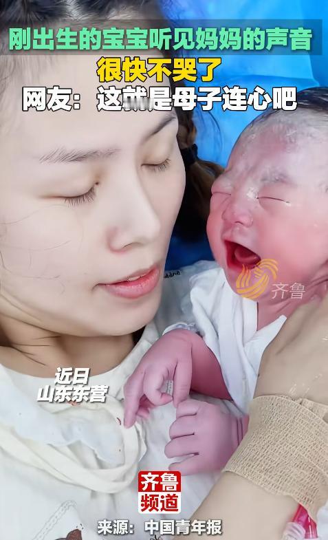 山东东营，一名刚出生的宝宝哭得撕心裂肺，家人轮番安抚却依然没有效果。直到妈妈俯下