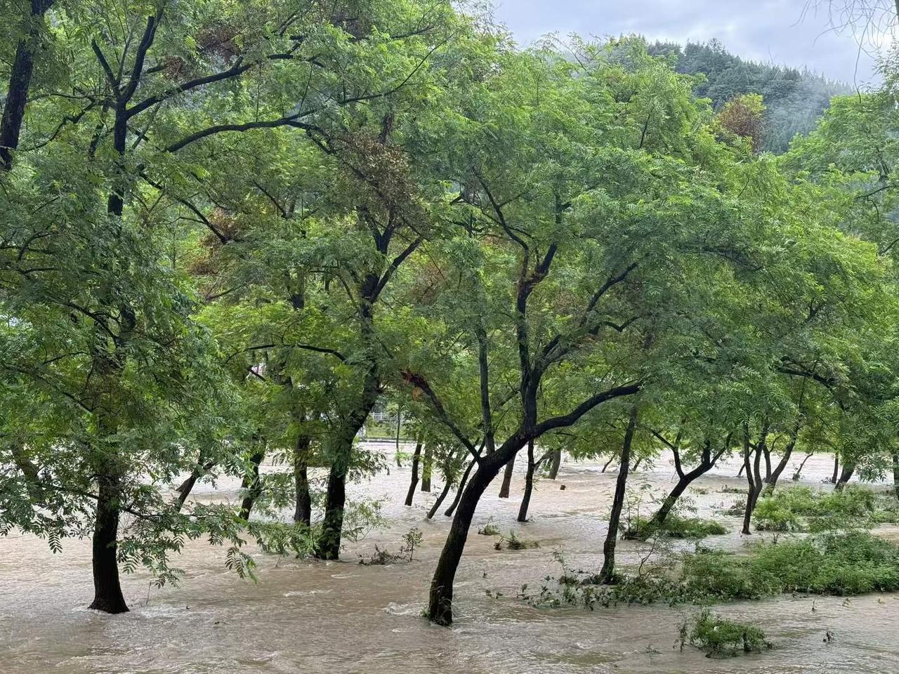 梵净山，昨夜的一场雨之后🌧️
图文原创：新都区摄影艺术协会 白冰
夏日生活打卡