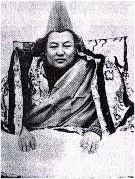 五世嘉木样活佛抗日爱国事迹

1937 年底，身处拉萨的五世嘉木样活佛致电中央，