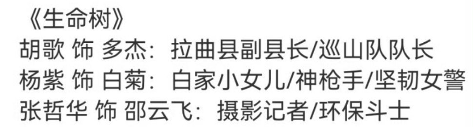 胡歌、杨紫、张哲华《生命树》角色🈶 ​​​