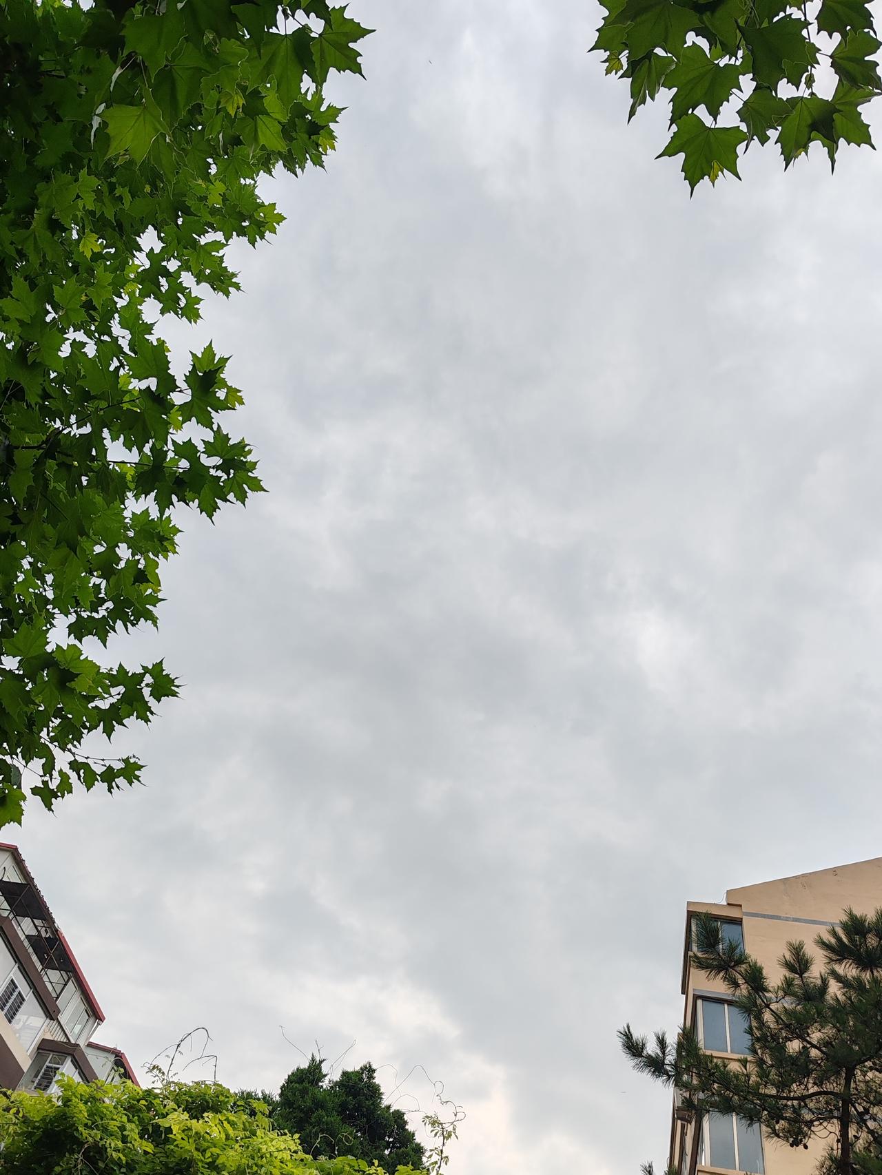 六月随手拍一一暴雨又要来了？