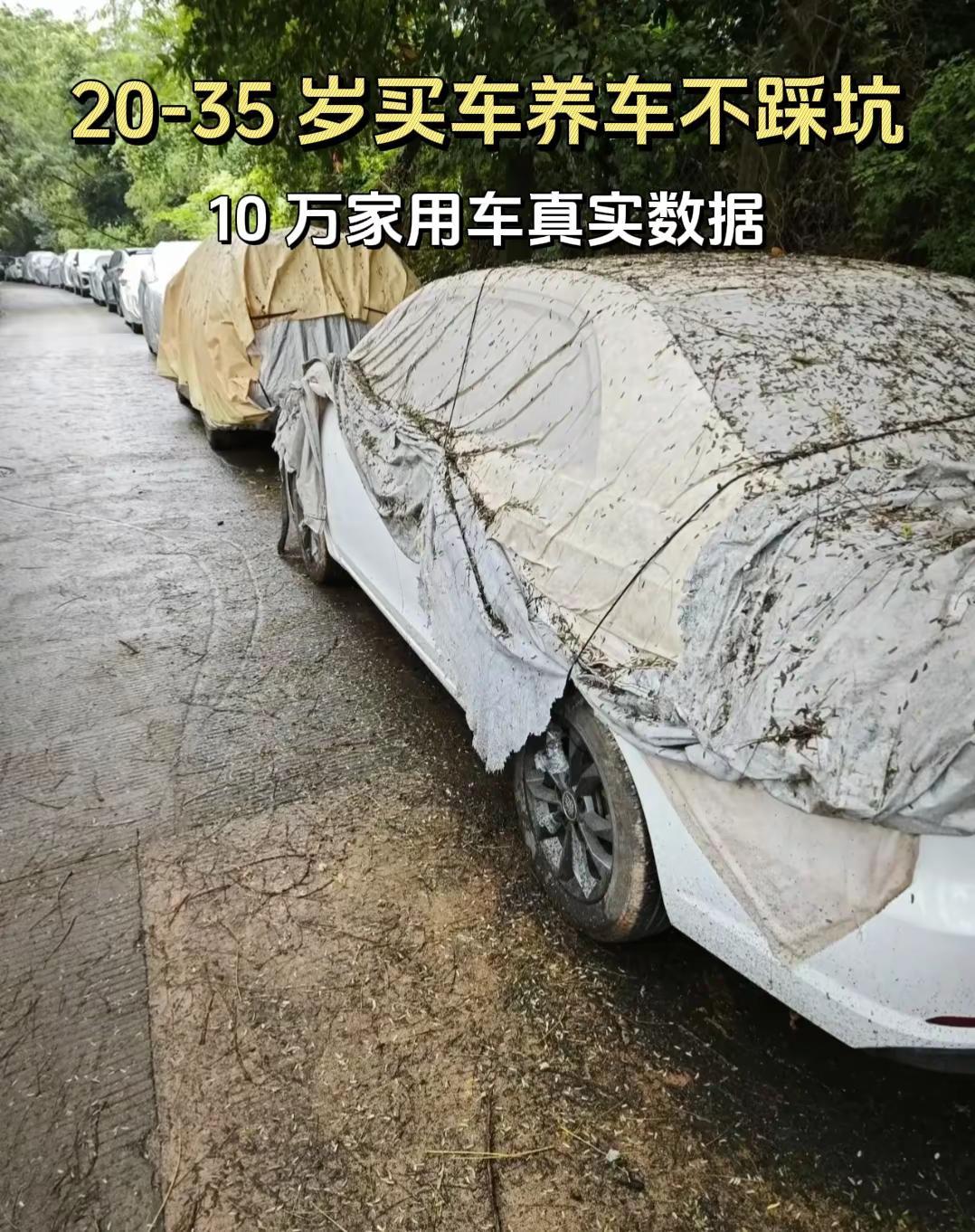 20-35 岁年轻人买车养车不踩坑。别只看裸车价！20-35岁买车，算清养车账才