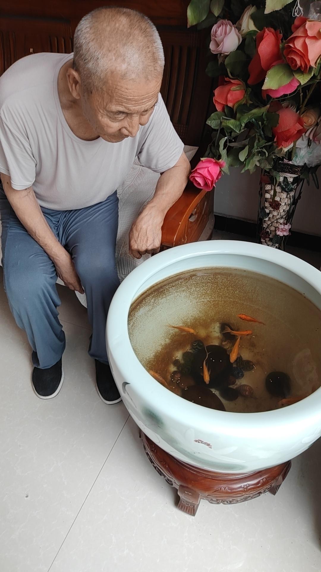 三十岁的林晚遭遇失业，在老家学熬粥时，第一次把水加多，第二次把锅底熬糊。外婆却说