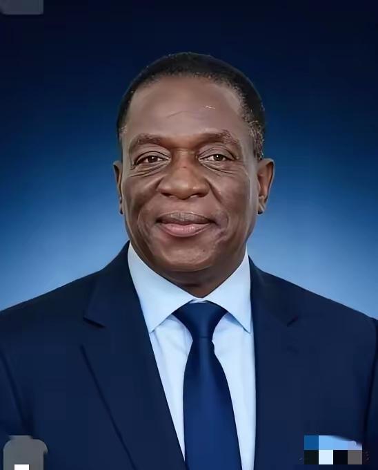 前脚巴拿马不顾中方反对，强行接管了巴拿马港口，后脚津巴布韦突然宣布暂停锂矿出口。