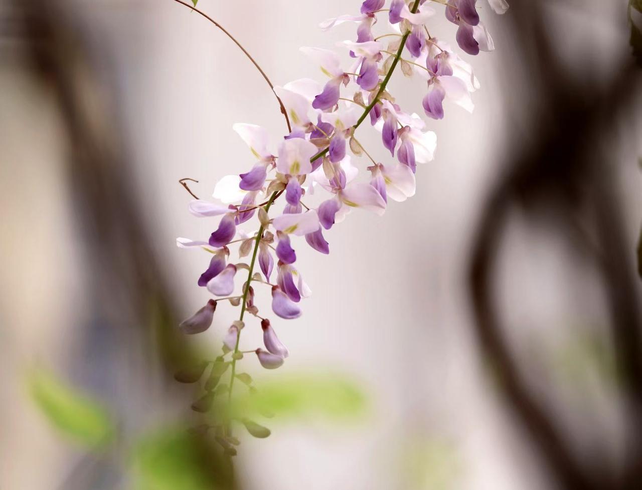 身体健健康康，吃嘛嘛香，腿脚灵便，能自理不拖累家人，平平安安就是最大的福气，过好
