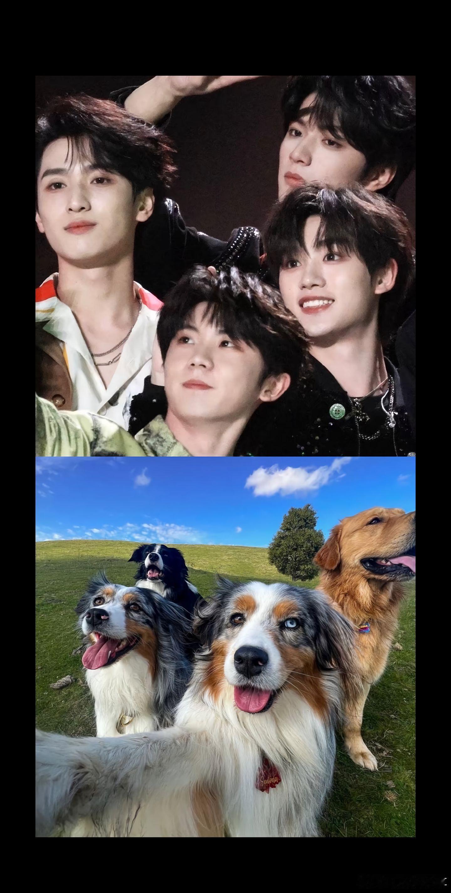 全是萌物时代少年团