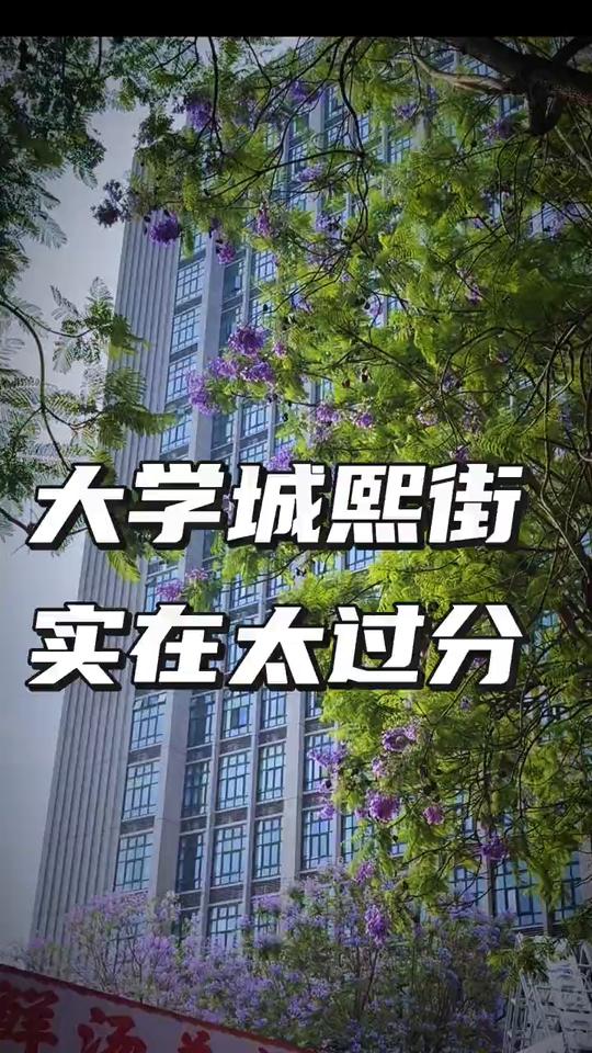 大学城熙街实在太过分。
大学城实在是太过分了，熙街四周所有的街道密密麻麻，全是蓝
