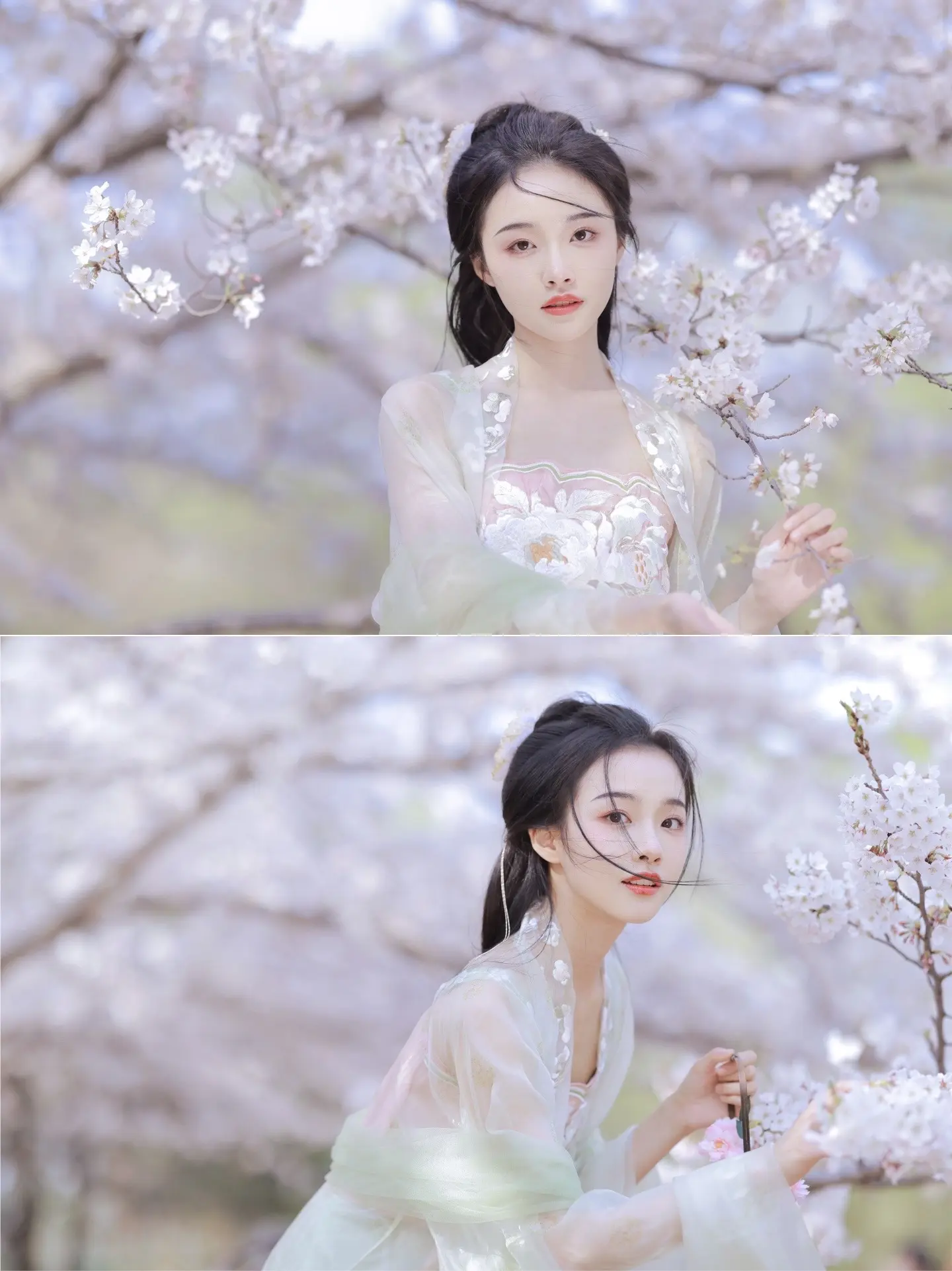 北京的春天就要来啦。看看我去年拍的美女们～