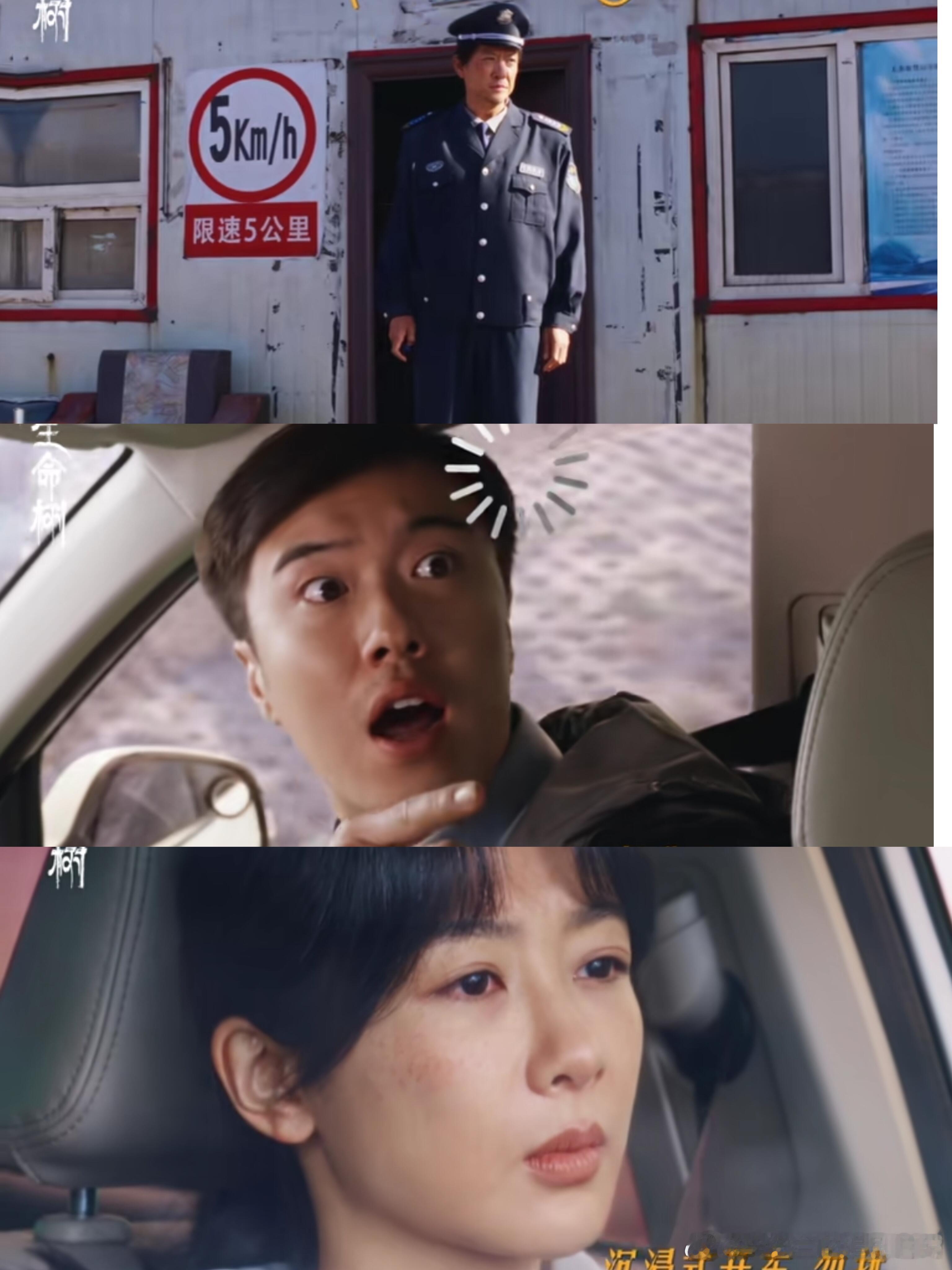 生命树这把熟人局巡山队没有一个闲人 全是做臣底的料子！邵云飞暗访鑫海的黑煤矿拍素