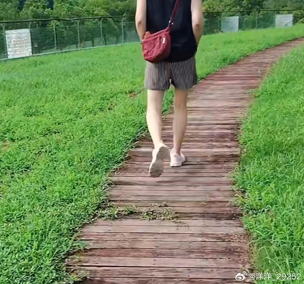 洋洋高锐·不了情吗◎站在桥上遥遥……望着她◎自从在老地方发现了她她……几乎天天都
