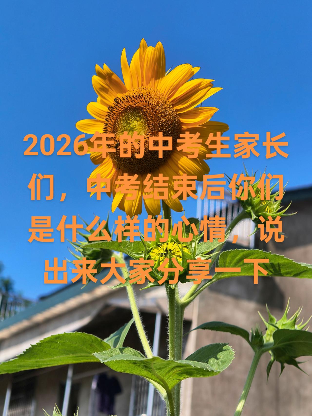 。家长们孩子参加完中考你们是什么心情啊？