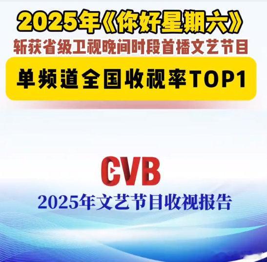 你好星期六年度收视第一 hi6收视率年度第一 你好星期六 2025省级卫视晚间时