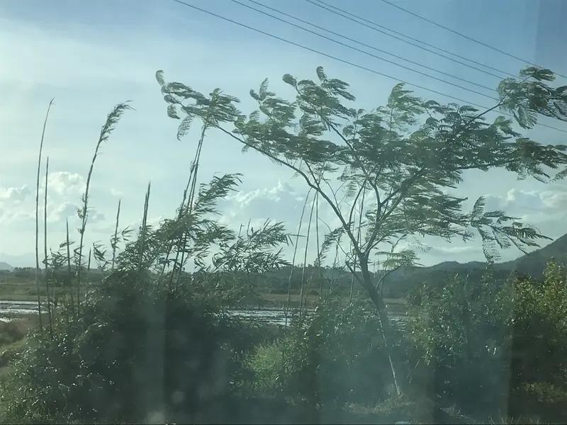 上联，淋春夏秋冬雨，请你赐教！阅东西南北风