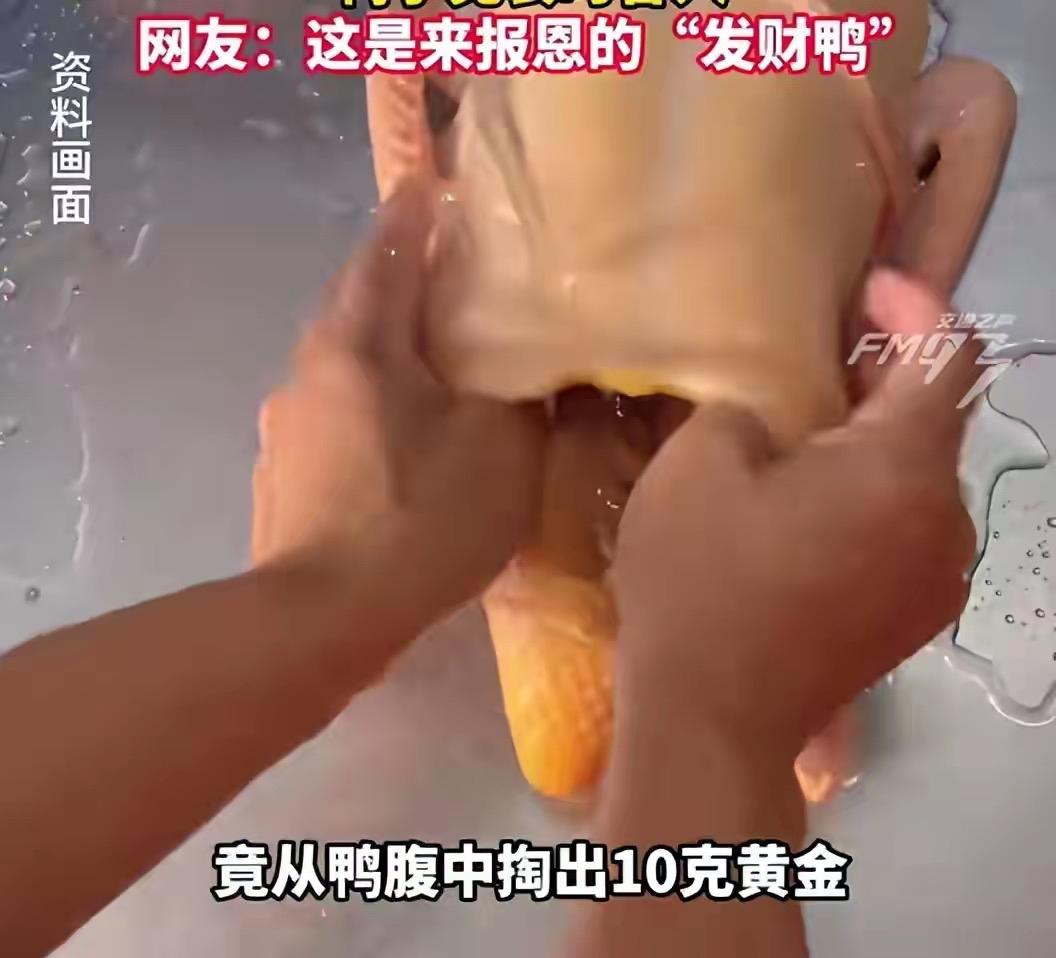 天降横财！湖南邵阳男子杀自家散养鸭，竟从鸭肚剖出10克真黄金，火烧测试完全不变色