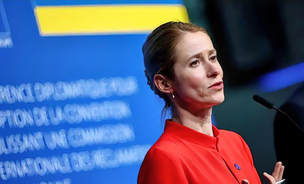 欧盟外交与安全政策高级代表卡拉斯：俄罗斯无法逃避支付乌克兰战争赔款！
来源于X原