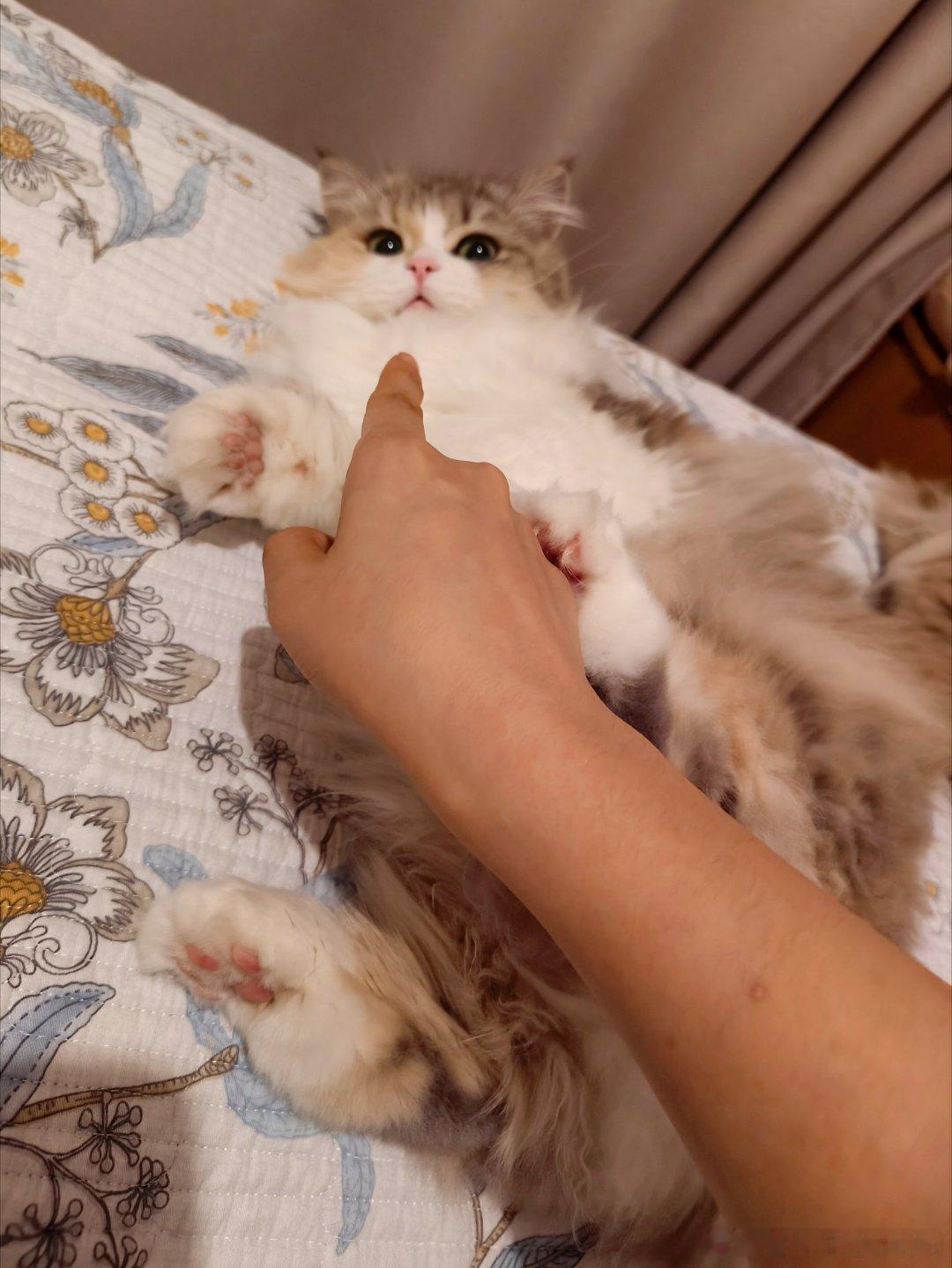 哈哈哈哈哈哈哈哈哈哈哈哈好可爱 