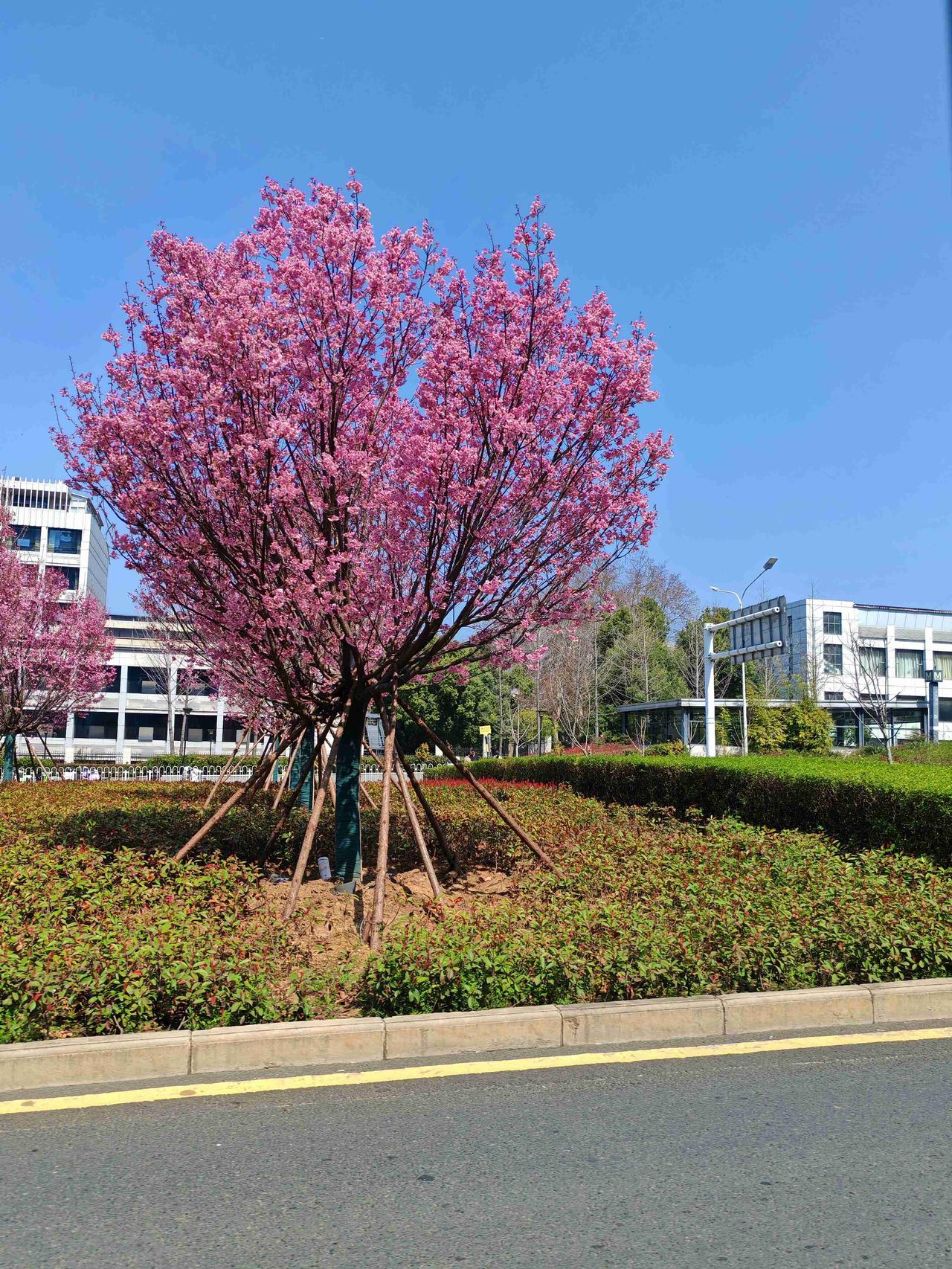 我的今日状态：😁轻松愉快
我这里的天气：☀️晴天