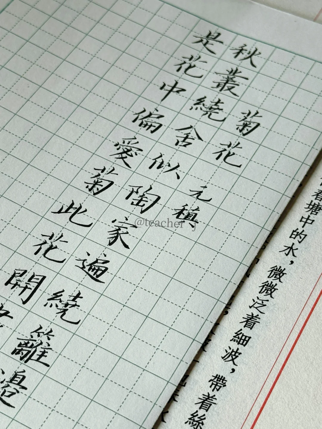 田英章硬筆|菊花