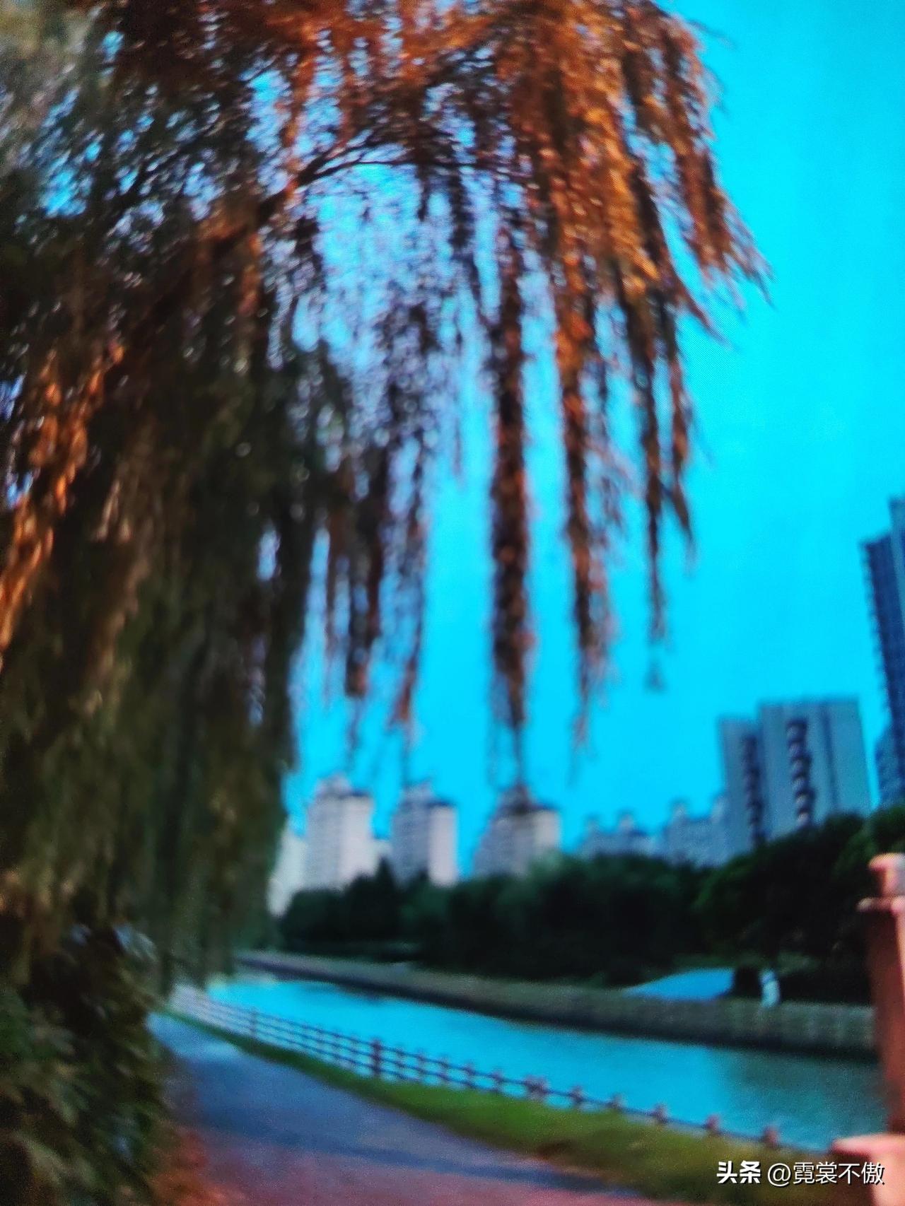 夜色降临永康城