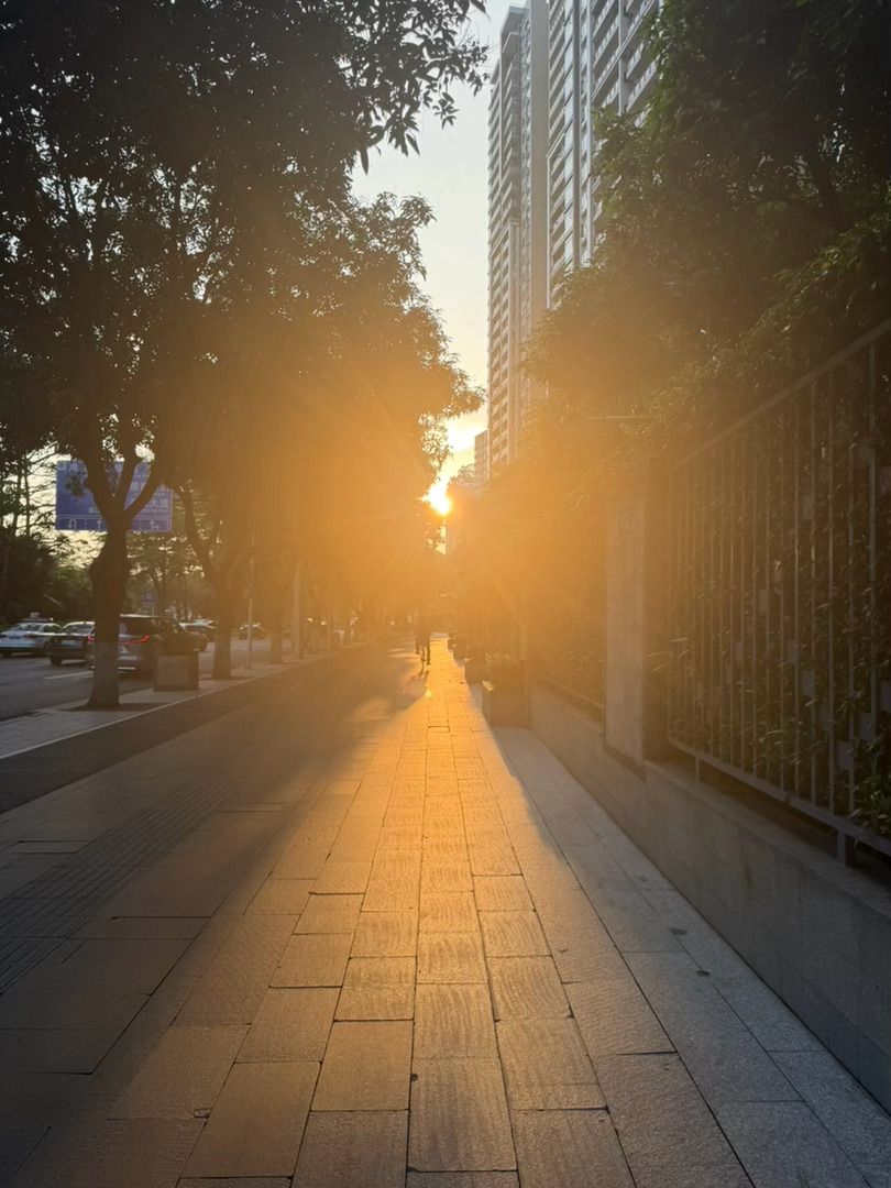 去健身被夕阳照着感觉浑身充满力量 