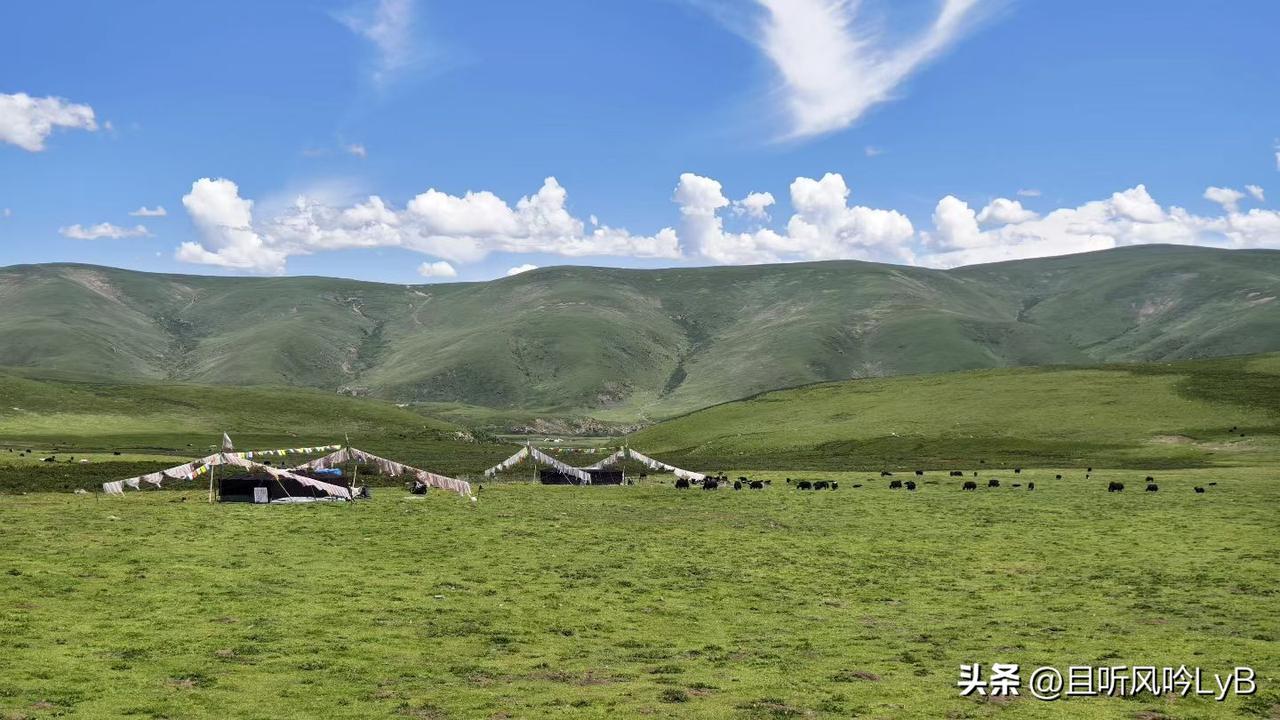 今天的云很重，风也很沉默，把自己暂时调成飞行模式。
以前的路，我不想重走，但现在