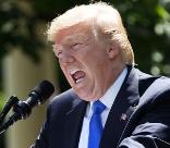 特朗普发文说：“突发信息：我很高兴在此宣告，美利坚合众国已经与丹麦王国以及格陵兰