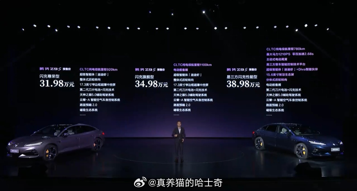 腾势Z9S预售价格：闪充尊荣型：31.98万闪充旗舰型：34.98万易三方闪充性