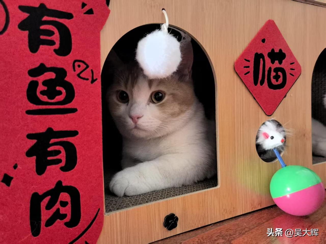 爱沙尼亚外长竟因这件事抱怨美国

3月19日，爱沙尼亚外长察赫克纳抱怨称，不知为