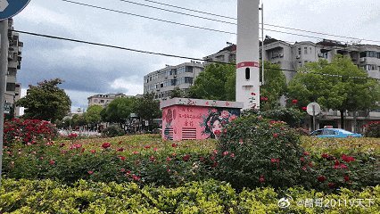 房县 立夏，在房县，“出门见绿 转角遇美”十堰爆料 房县融媒今年以来房县园林部门
