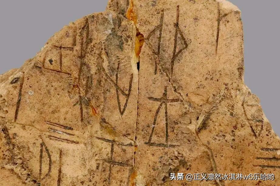 殷墟甲骨文的甲骨是哪里来的? 殷墟甲骨文的甲骨来源还挺有门道。一般来说，主要是龟