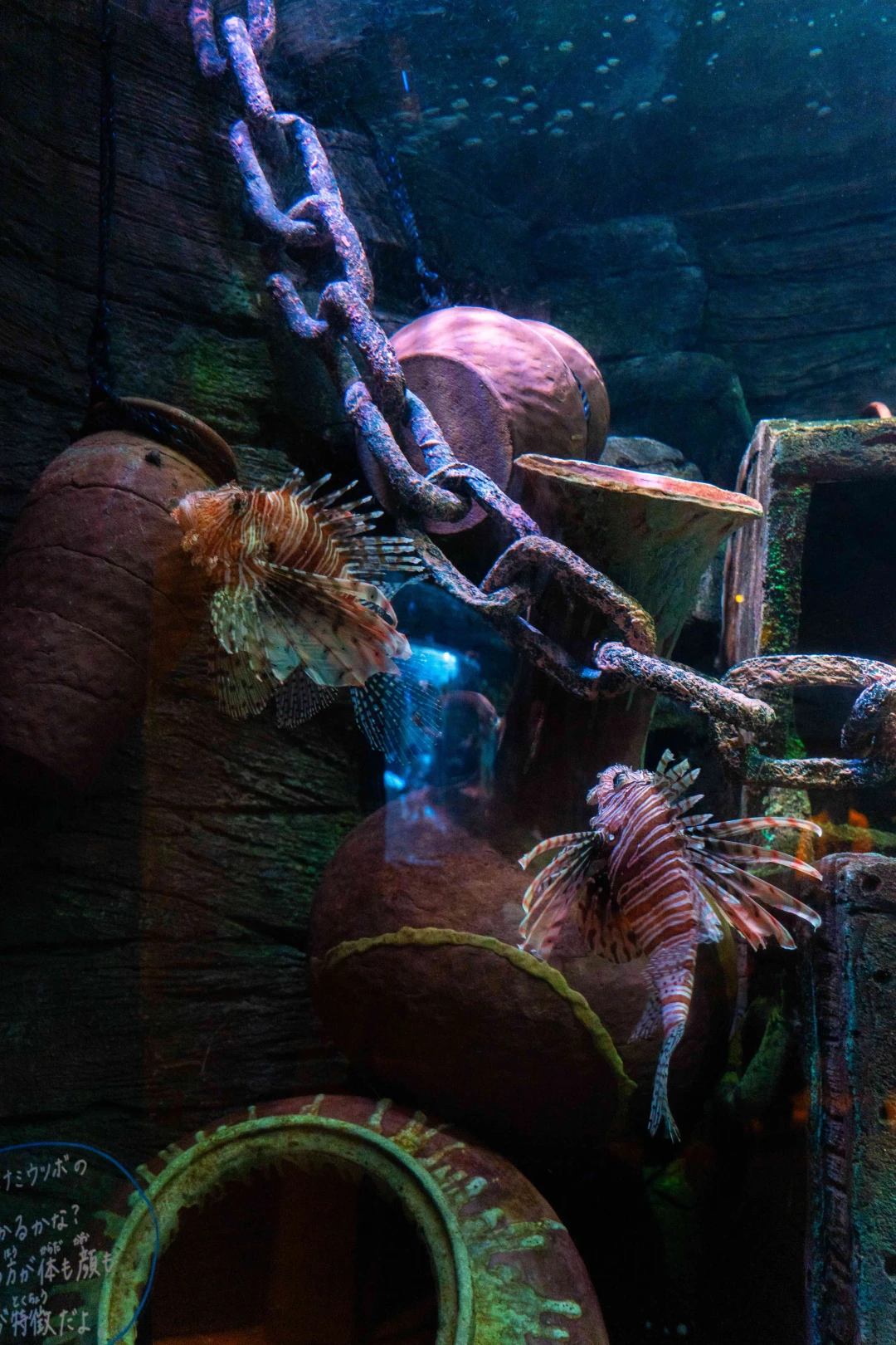 日本乐高乐园®+名古屋SEA LIFE水族馆封神
