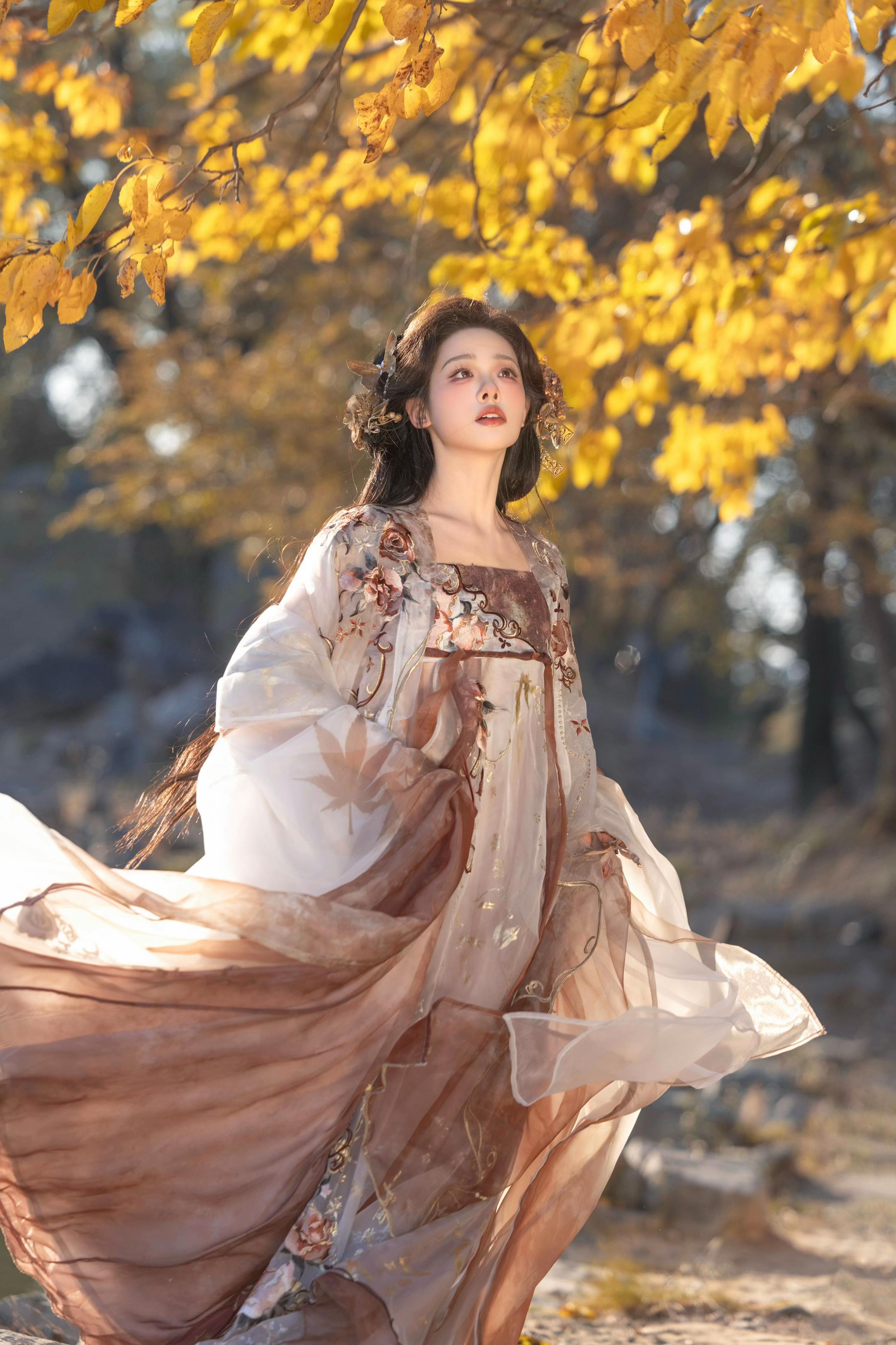 ‘ 做了一场关于秋天的梦 ’     一些风和阳光给的氛围感