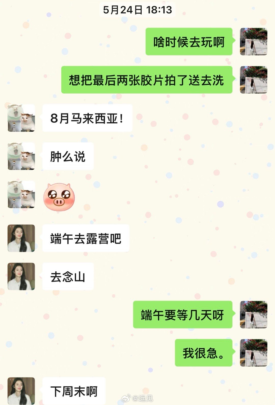 哇塞塞 明日拍个和马狗的合照 姐的第一卷胶片就可以冲出来惹 ​​​