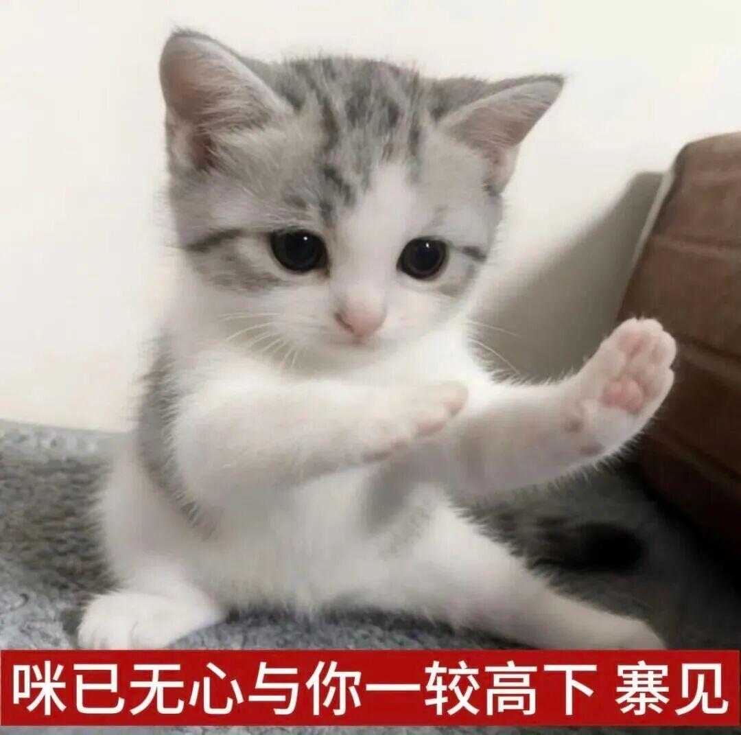 【🦔叨叨乐】宝宝们中午好今天疯狂星期四！哪家俱乐部会在今天疯狂