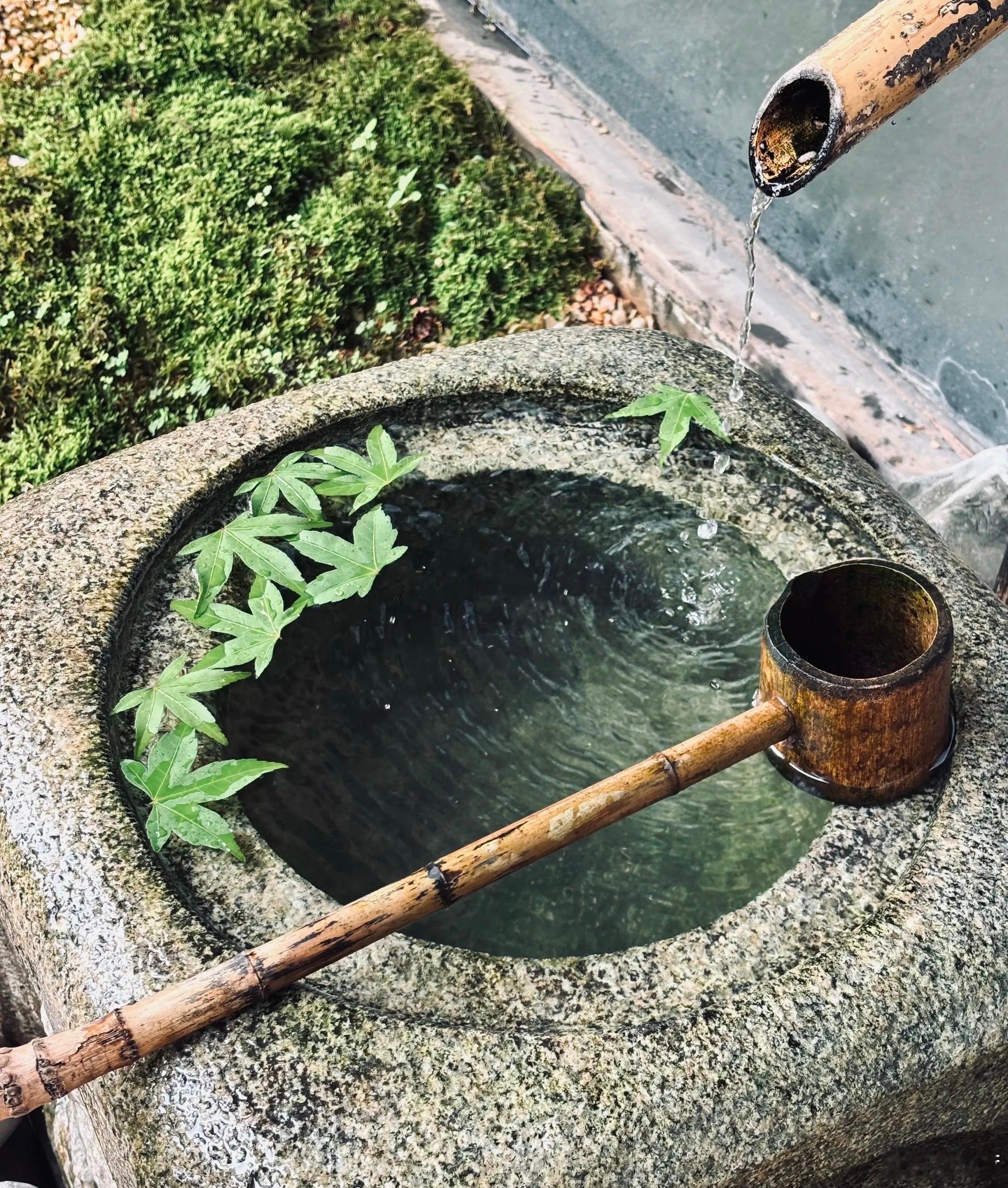 我喜欢摸着自己皮肤细腻嫩滑的感觉，所以我天天涂身体乳；我喜欢自己小腹的平整感、身