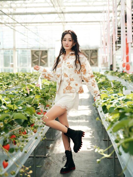 杨幂｜今日份美女