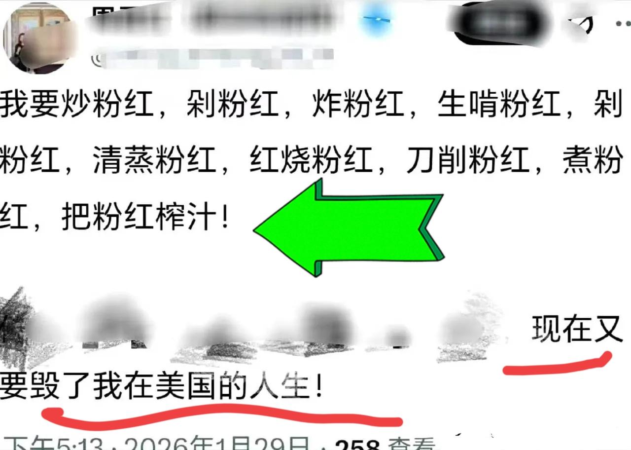 破防了、又破大防了！知名反华大殖子周君红放话说自己要为4亿美国人民做代理律师，向