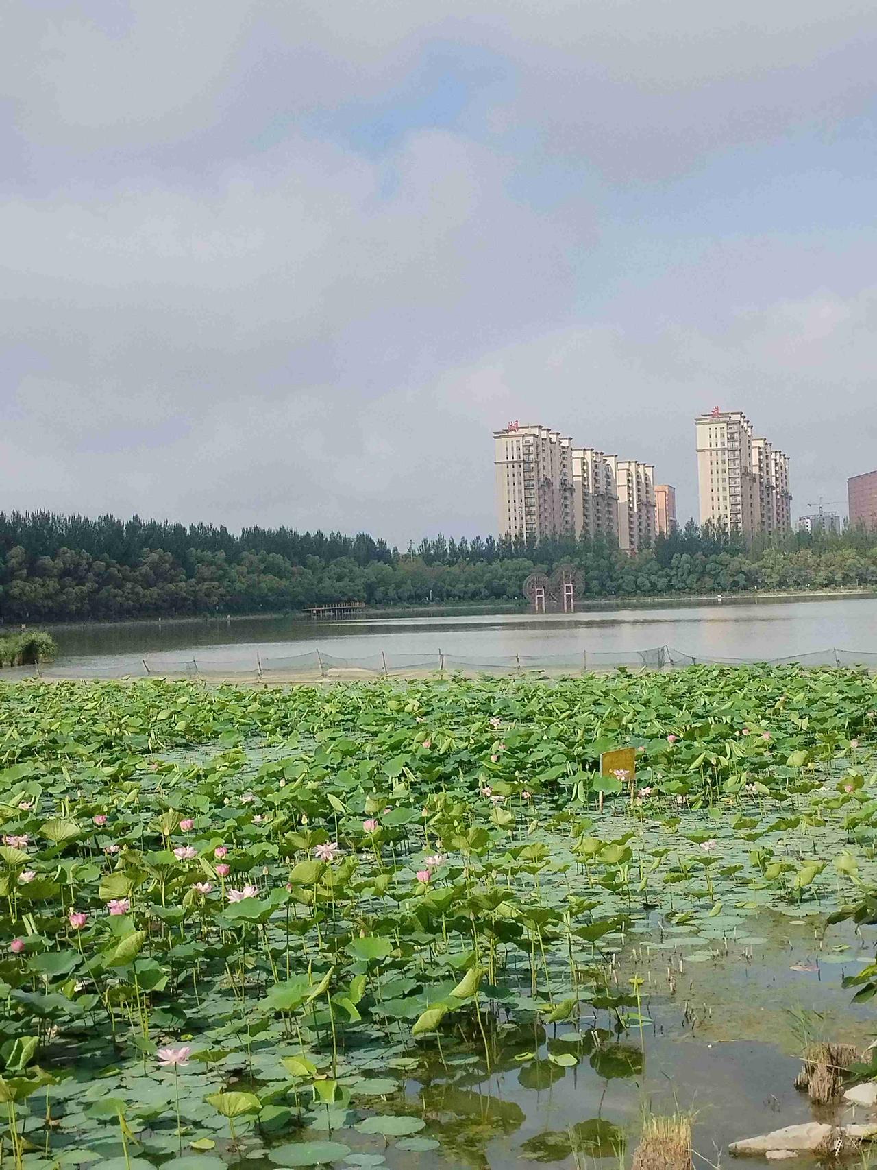 我的今日状态：😁轻松愉快
我这里的天气：☀️晴天
  这里是黑龙江省肇东市南湖