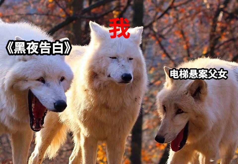 黑夜告白好难猜 追了这么多集，还是猜不透凶手是谁，这部剧真是太考验智商了，看来得