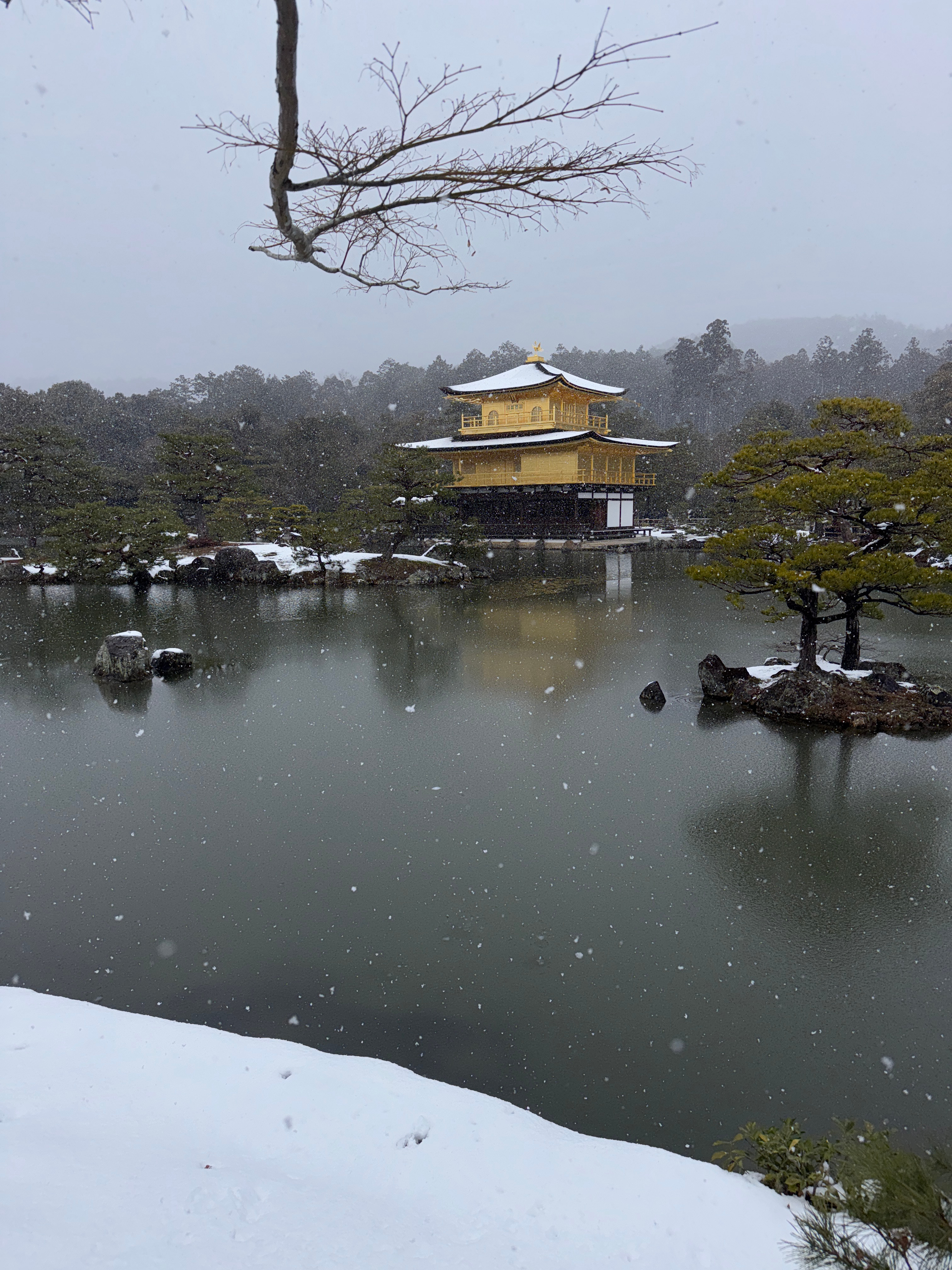 昨天回到了京都，睡了一觉醒来，窗外下起大雪。 早餐吃了一个苹果，喝了一杯红茶。裹