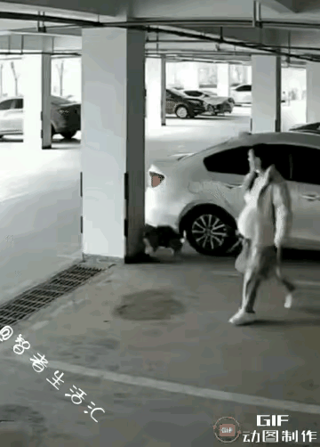 惊呆所有人：停车场里，孕妇被狗狗追着跑，保安以为狗狗要咬孕妇，用棍子驱赶狗狗，没