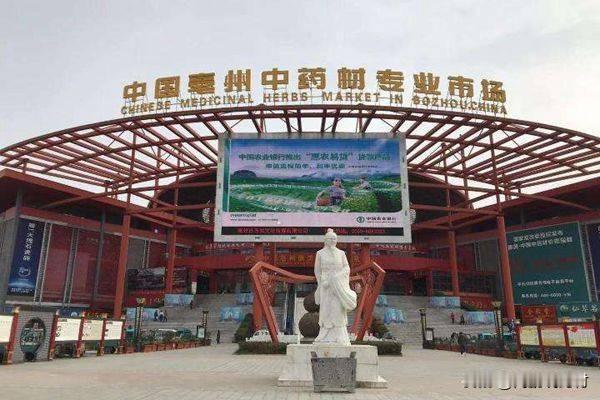 种植药材想找销售渠道的看过来

当前，亳州康美中药城市场样品行，是市场内人气最旺