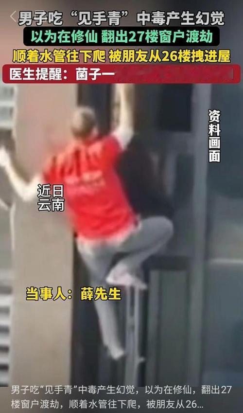 离谱！男子吃隔夜见手青中毒，27楼攀爬水管“修仙渡劫”
 
近日，江苏籍薛师傅在