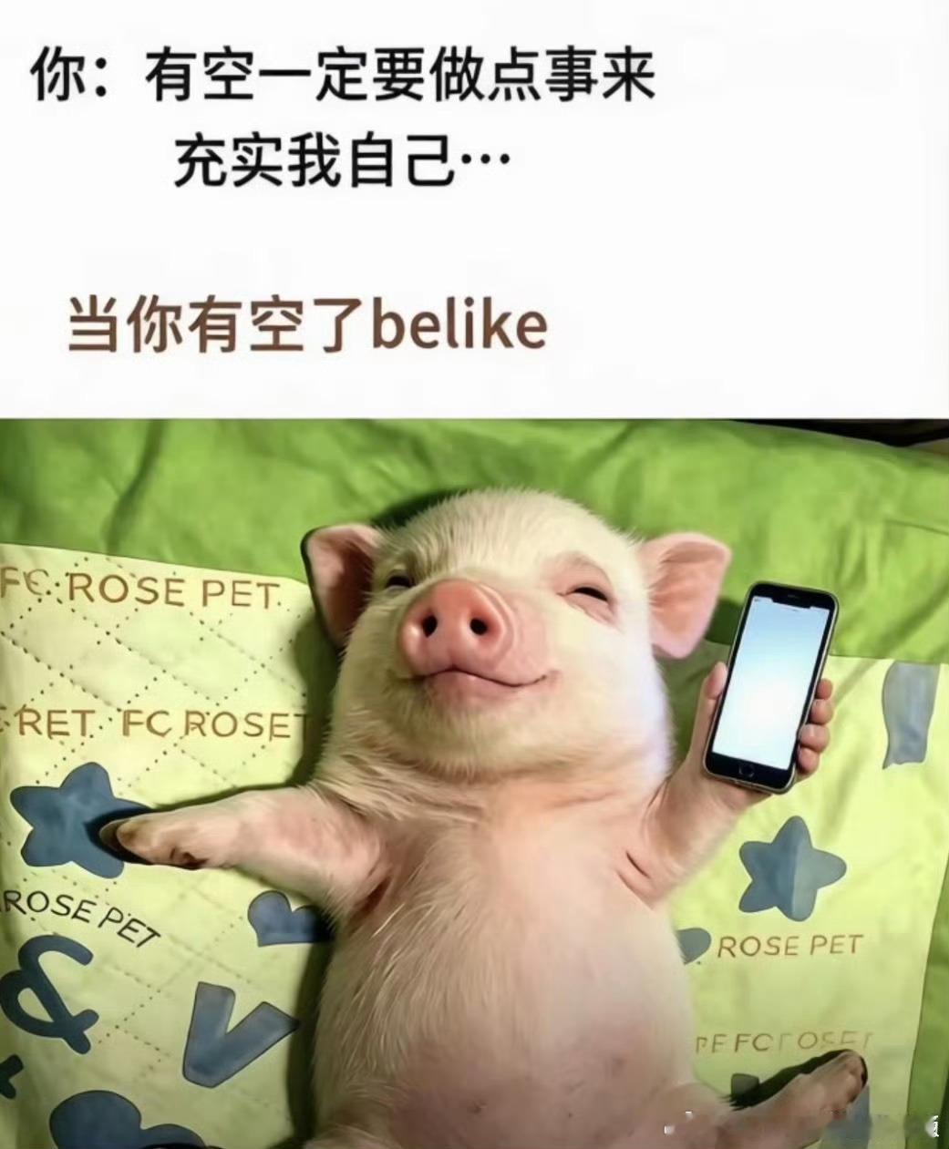 今天我突发奇想，如果像猫狗一样经常把舌头伸出来舔舔会不会像猫狗一样无忧无虑，今晚