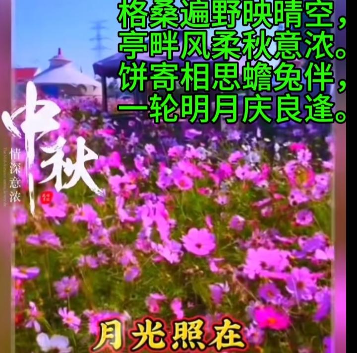 格桑遍野映晴空，
亭畔风柔秋意浓。
饼寄相思蟾兔伴，
一轮明月庆良逢。
