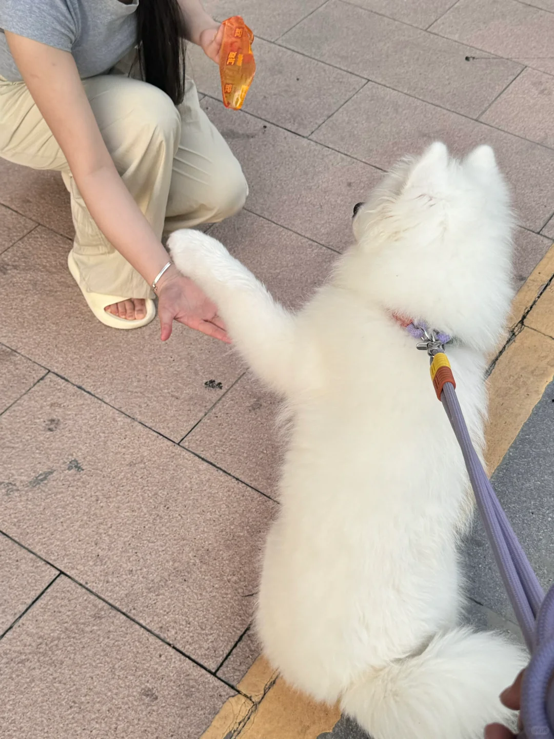 快给我吃！我已经握手啦 🤝