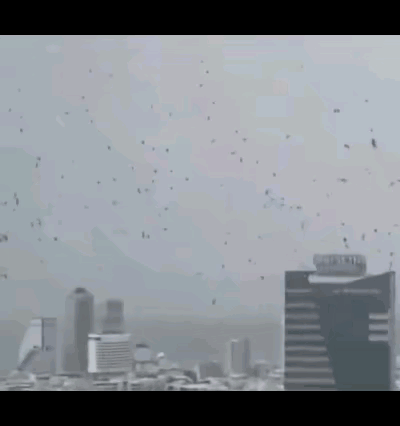 乌鸦突袭特拉维夫，末日预兆还是血腥信号？  

以色列特拉维夫最近摊上怪事儿——