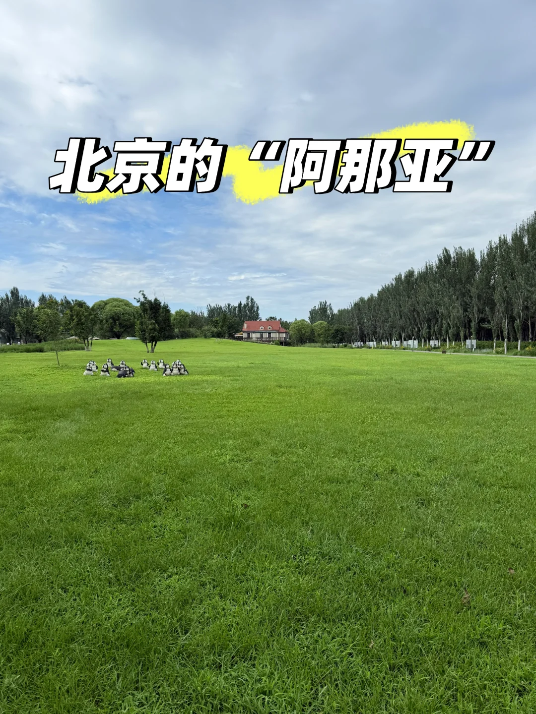 北京醉美的～养老/度假小别墅🏡